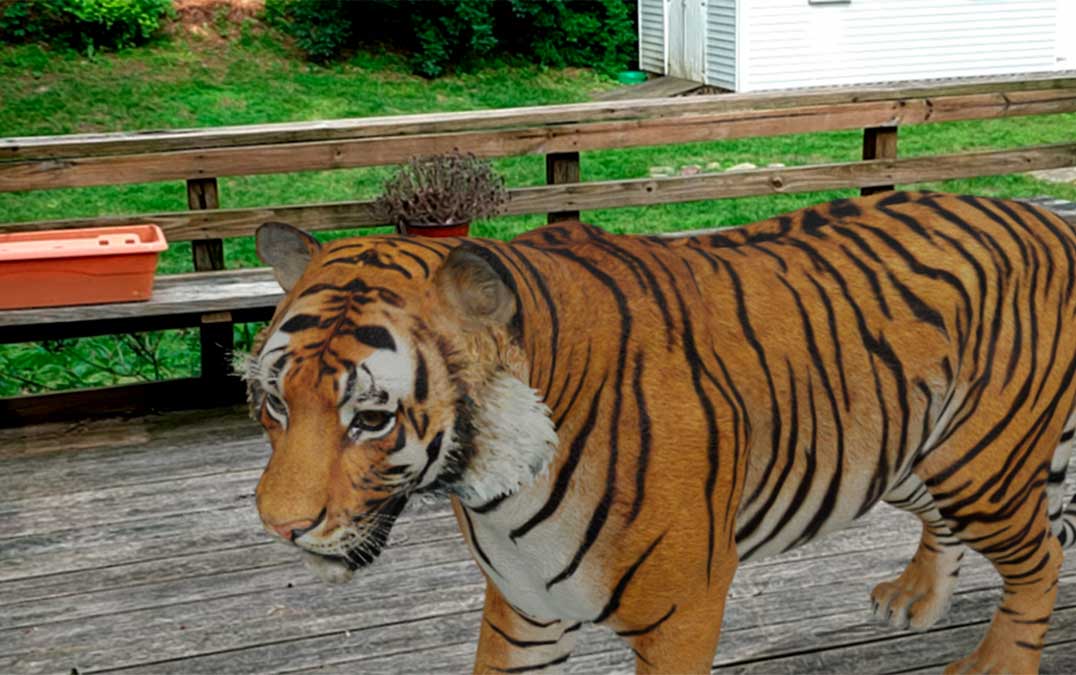 Veja como trazer animais 3D para dentro da sua casa com o Google, através  da realidade aumentada